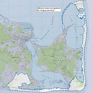 Map for the Chappaquidick Island IBA site.