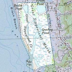 Map of the Great Sippewisett Marsh and Black Beach IBA site