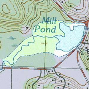 Map of the Mill Pond (Smiley's Pond) and marshes IBA site