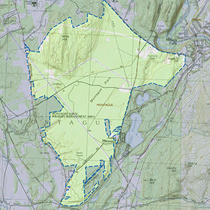 Map of the Montague Sandplains IBA site