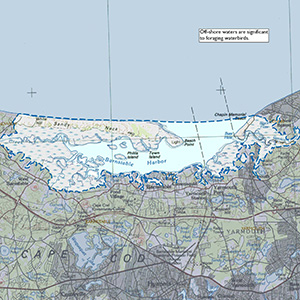 Map of the South Cape Beaches - Sandy Neck IBA site.