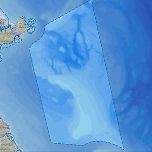 Map of the Stellwagen Bank IBA site