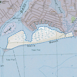 Map of the West Dennis Beach IBA site